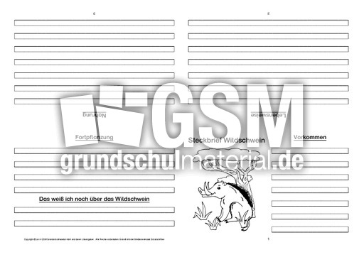 Wildschwein-Faltbuch-vierseitig-1.pdf